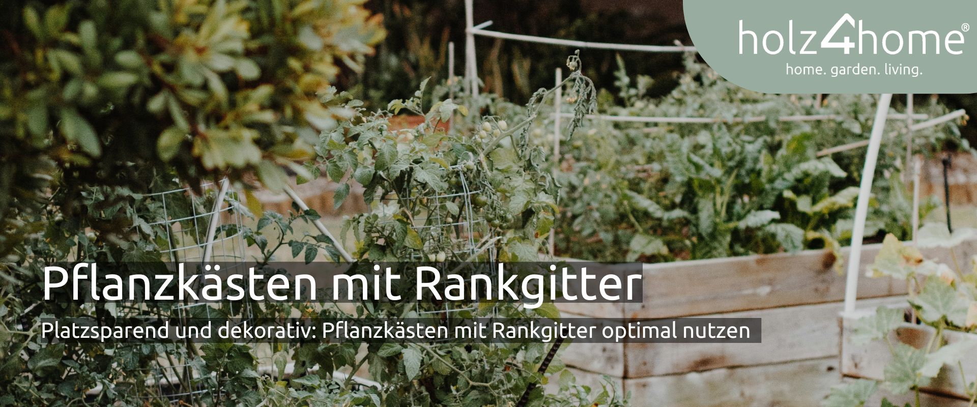 Plantenbakken met klimrek in de tuin, beplant met tomaten, met titel Plantenbakken met klimrek