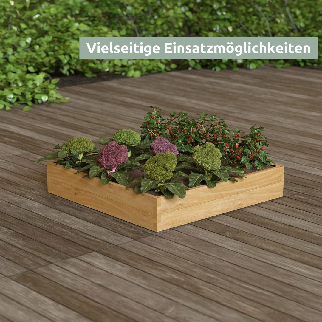 Moestuinbak van grenenhout beplant met groenten op een houten terras voor een groene heg