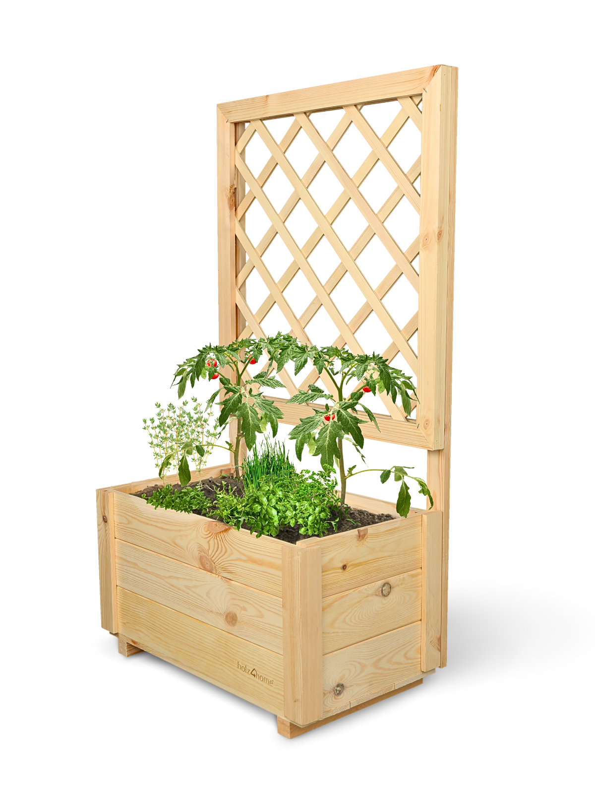Plantenbak van grenen met klimrek, beplant met tomaten en kruiden, vrijstaand getoond