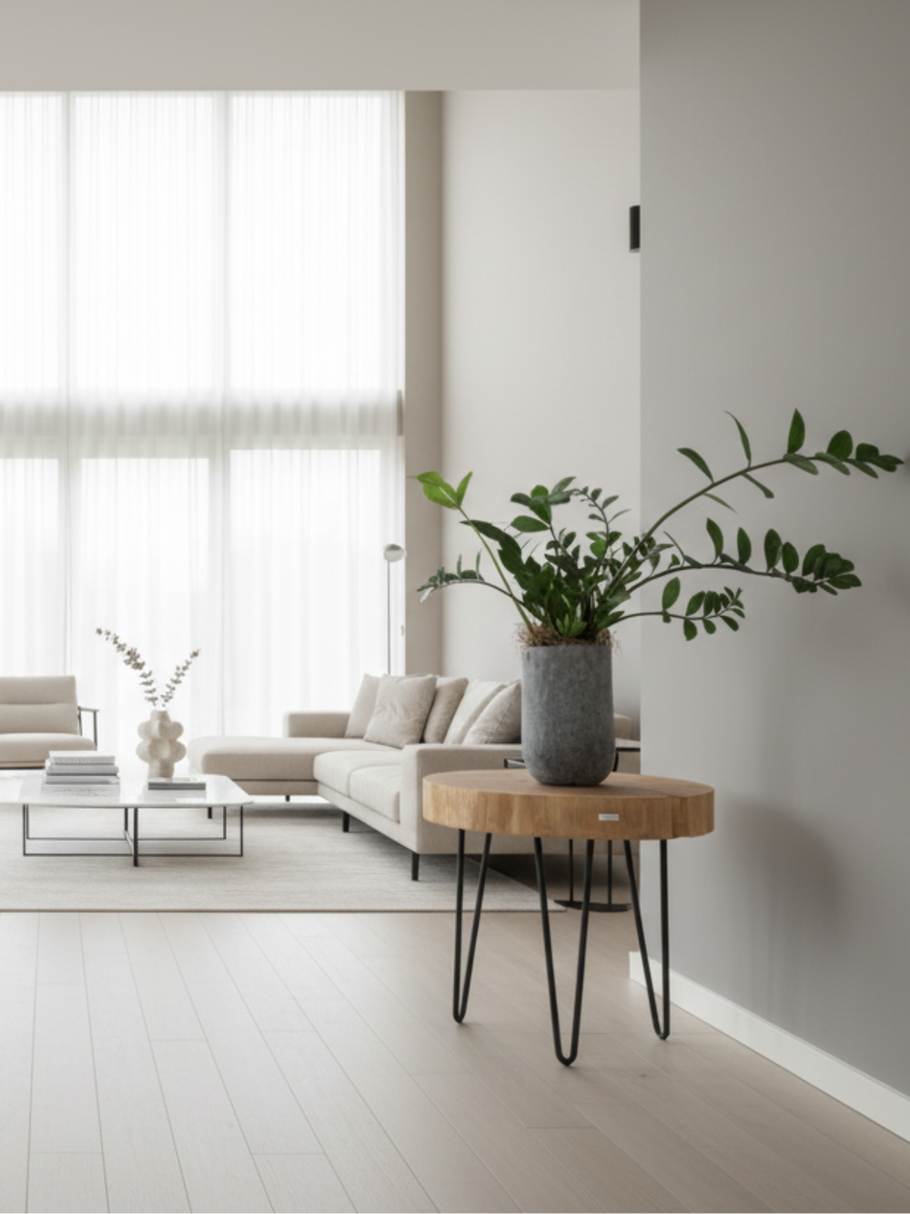 Salontafel van een eiken boomschijf met kamerplant in een lichte, minimalistische woonkamer