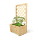 Tuin