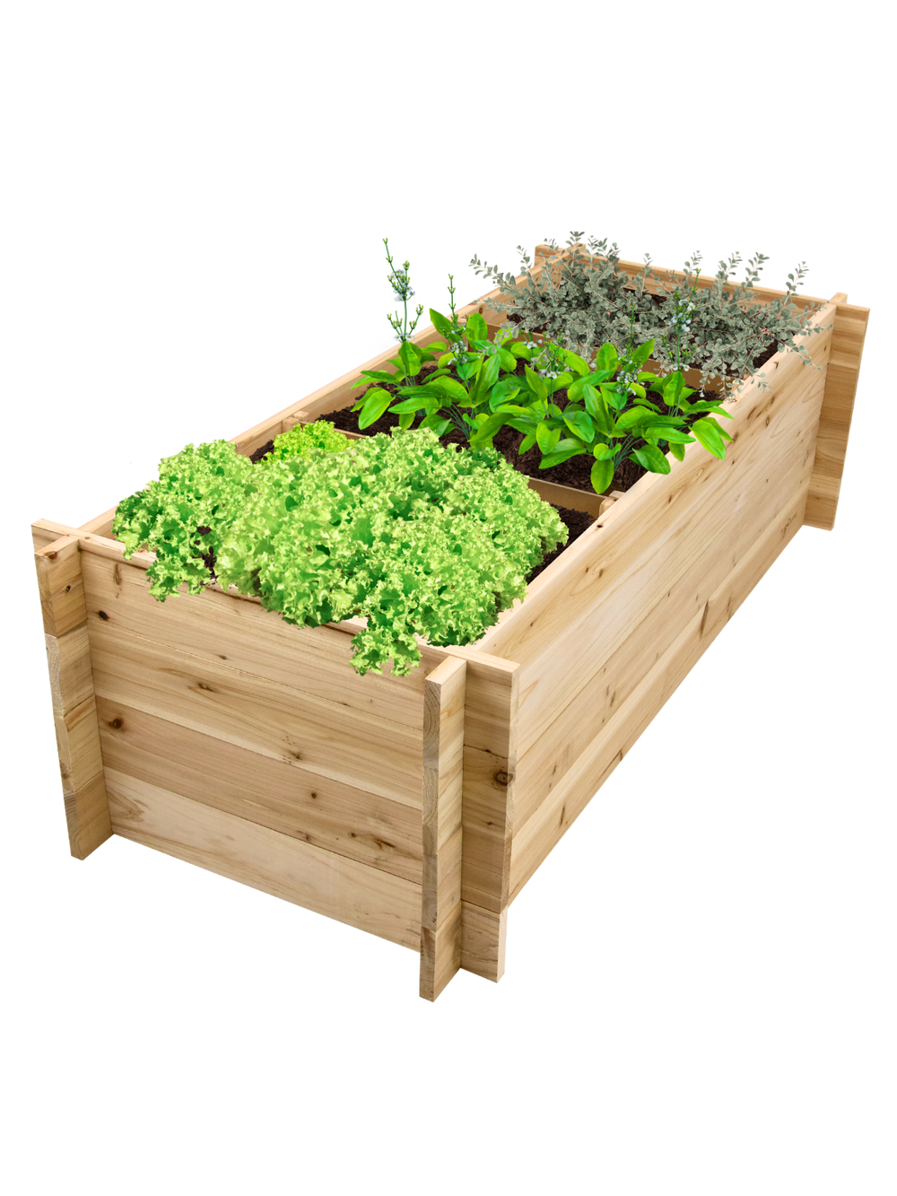 Moestuinbak van vurenhout met 3 vakken, beplant met sla en kruiden, zijaanzicht