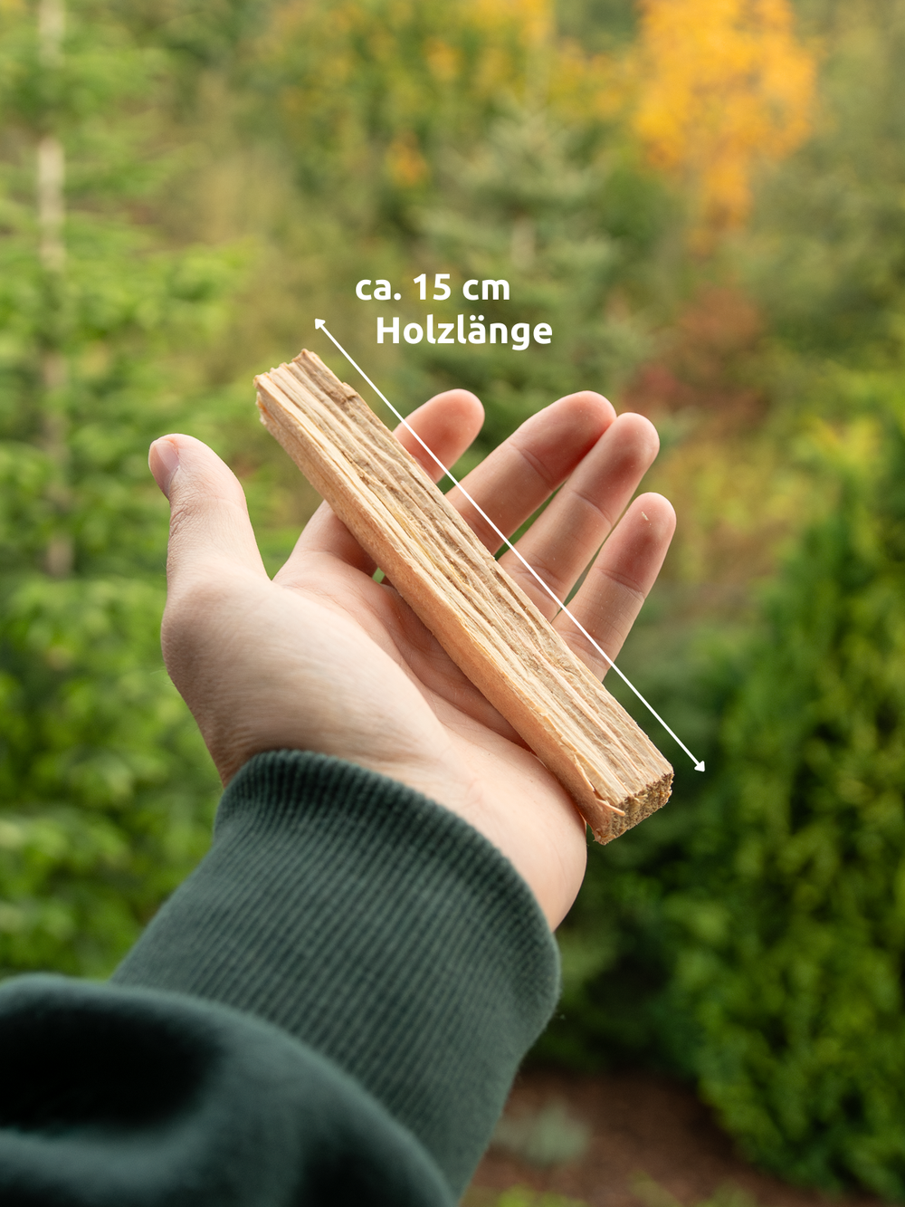 Hand houdt een aanmaakhoutje vast voor een herfstachtige tuin, lengte ca. 15 cm