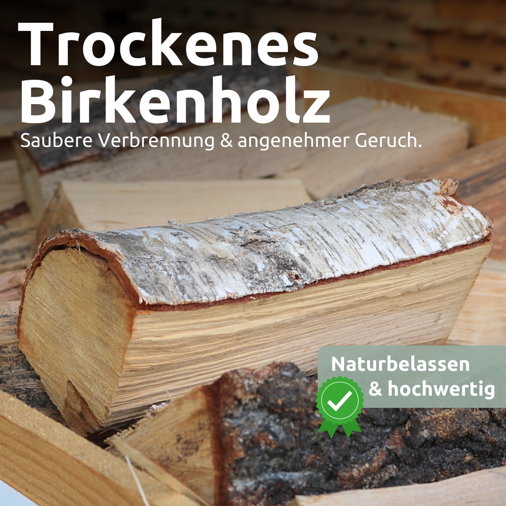 Droog berken brandhoutblok met witte schors, gekloofd snijvlak in close-up