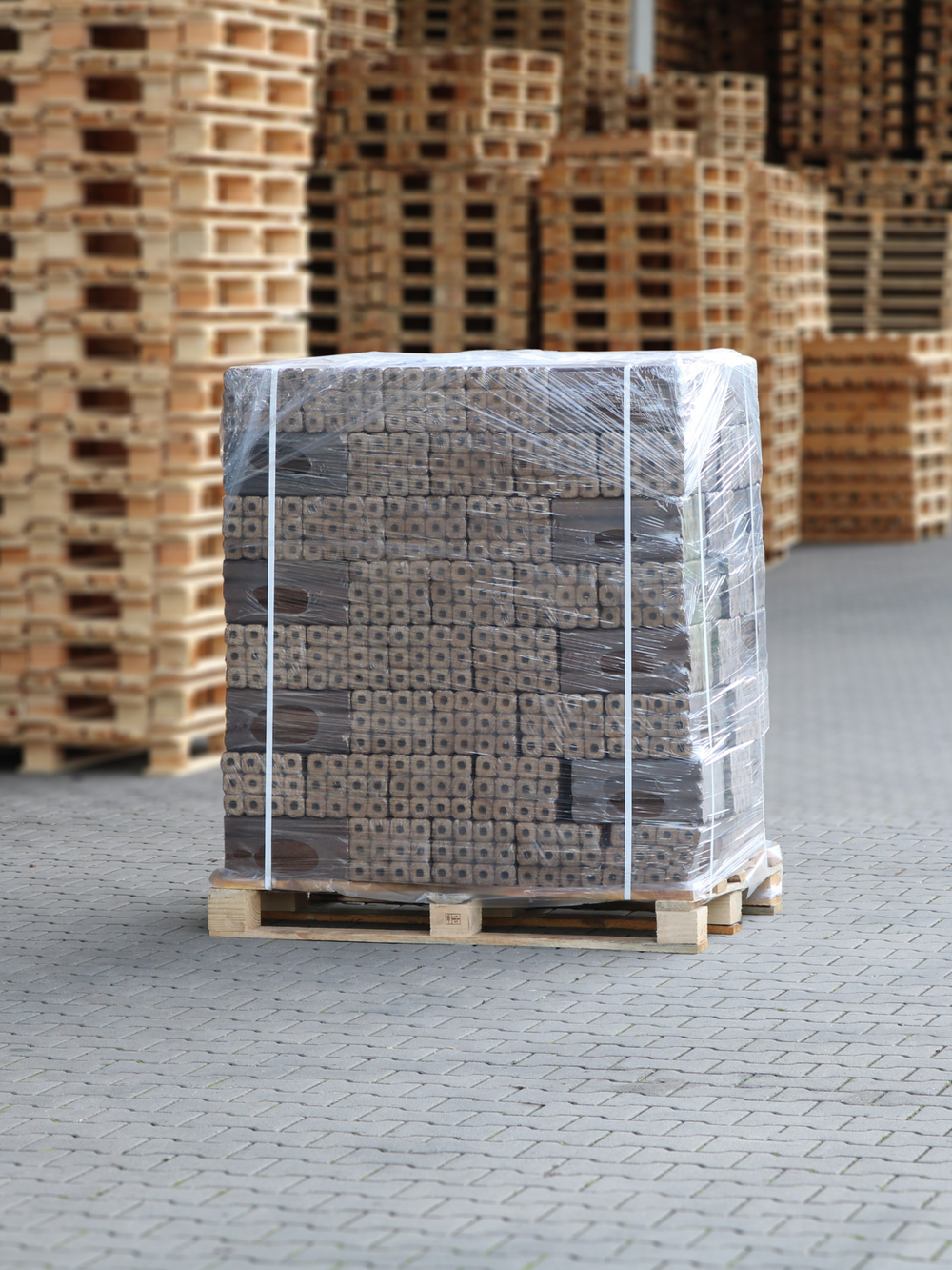 Pallet Pini Kay eikenbriketten foliegewikkeld op het buitenopslagterrein