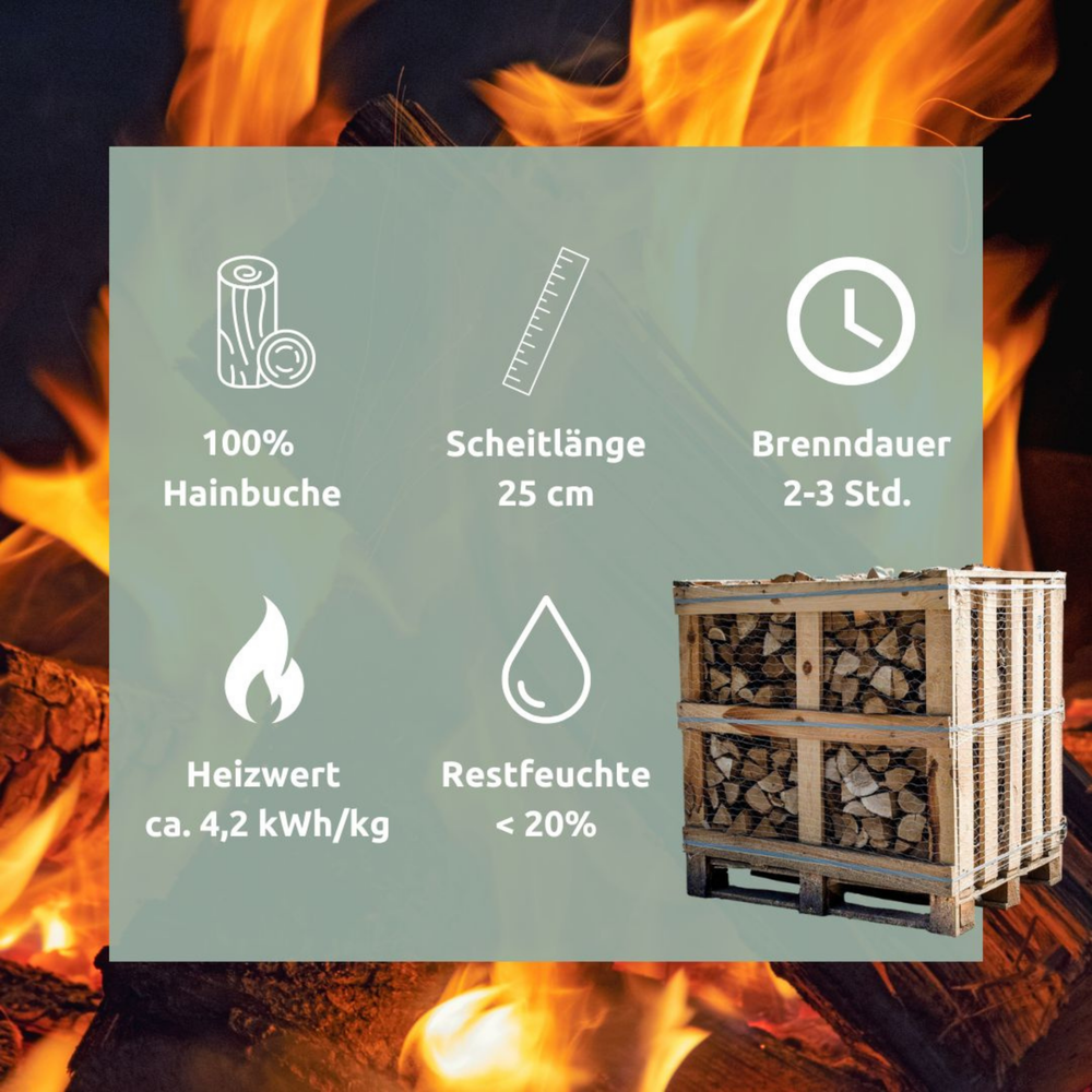 Infographic brandhout haagbeuk: 100% haagbeuk, bloklengte 25 cm, restvochtigheid onder 20%, verbrandingswaarde 4,2 kWh/kg