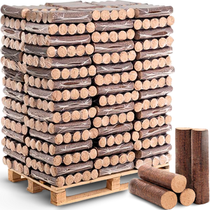 Pallet met eiken hardhoutbriketten in foliepakketten, losse ronde briketten ervoor