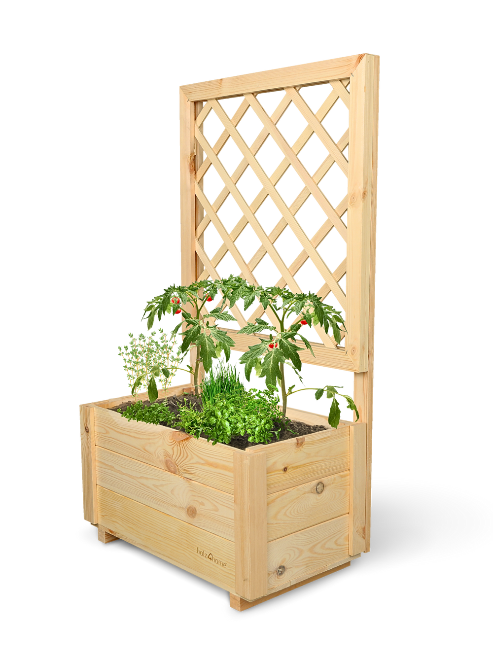 Plantenbak van grenen met klimrek, beplant met tomaten en kruiden, vrijstaand getoond