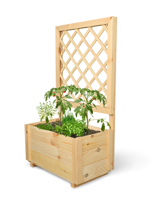 Plantenbak van grenen met klimrek, beplant met tomaten en kruiden, vrijstaand getoond