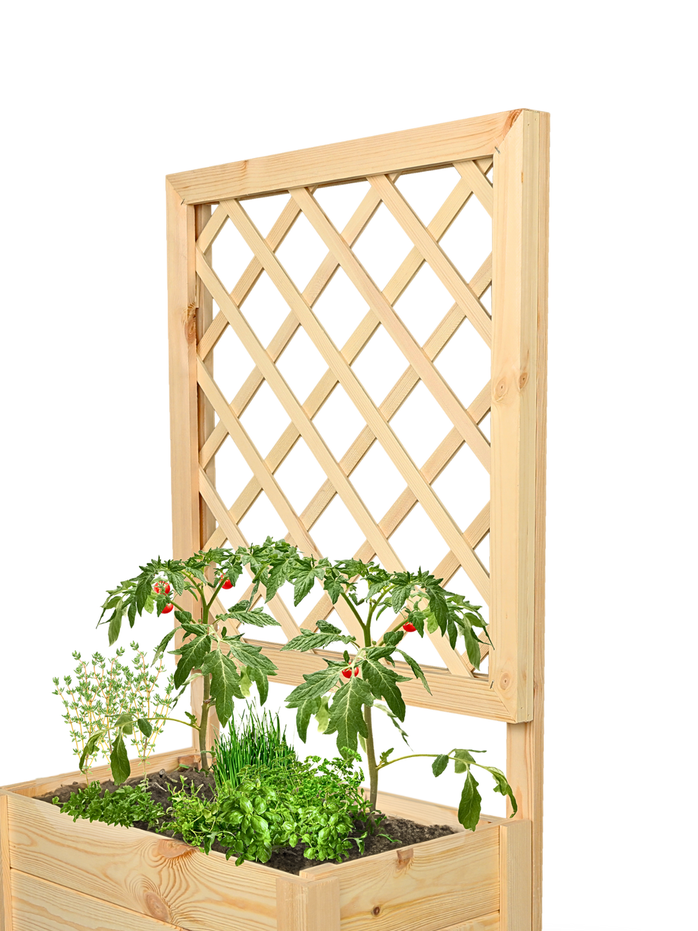 Close-up van het ruitvormige klimrek van grenen aan het spalier van de beplante plantenbak