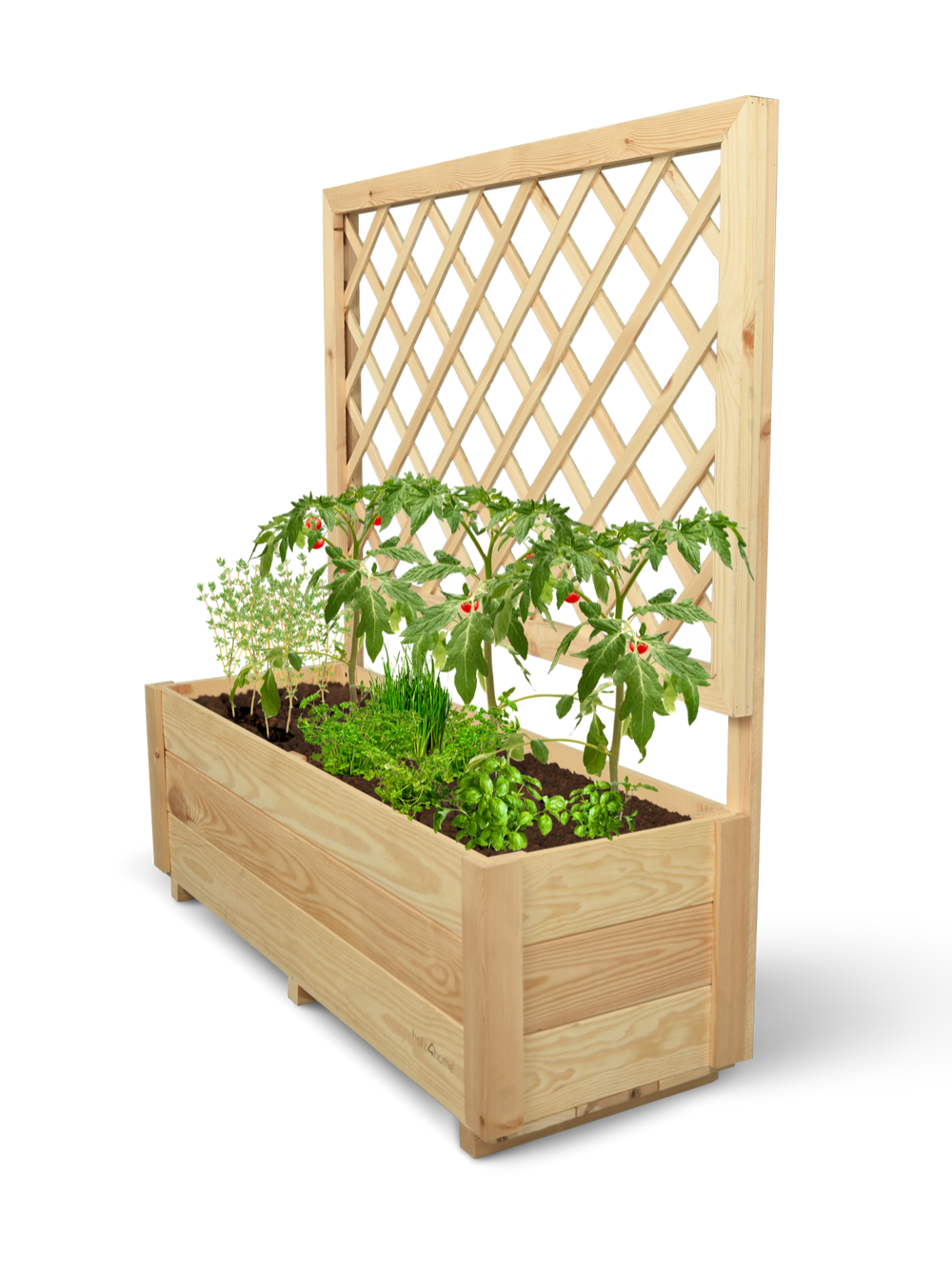 Plantenbak van grenen met klimrek, beplant met tomaten en kruiden, vrijstaand getoond