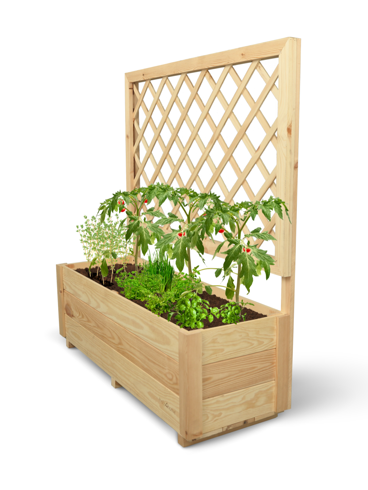 Plantenbak van grenen met klimrek, beplant met tomaten en kruiden, vrijstaand getoond