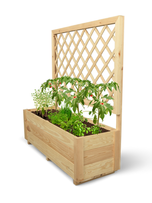Plantenbak van grenen met klimrek, beplant met tomaten en kruiden, vrijstaand getoond