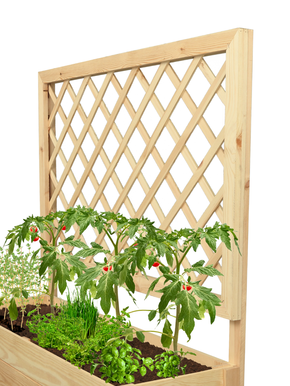 Close-up van het ruitvormige klimrek van grenen boven de beplante plantenbak
