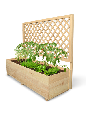 Grote plantenbak XL van grenen met klimrek, beplant met tomaten en kruiden, vrijstaand