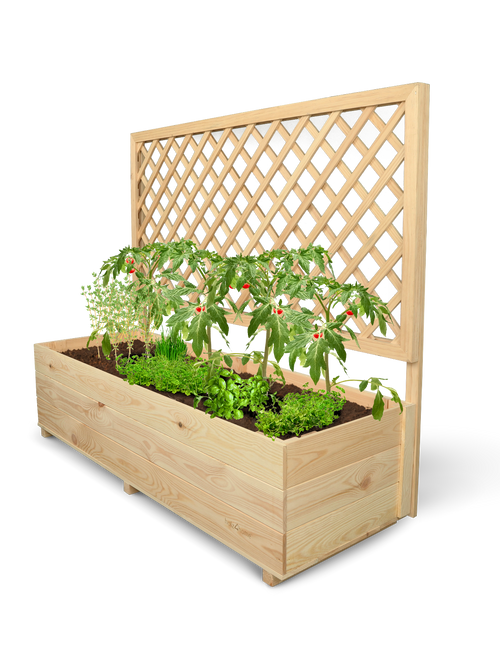 Plantenbak met klimrek XL