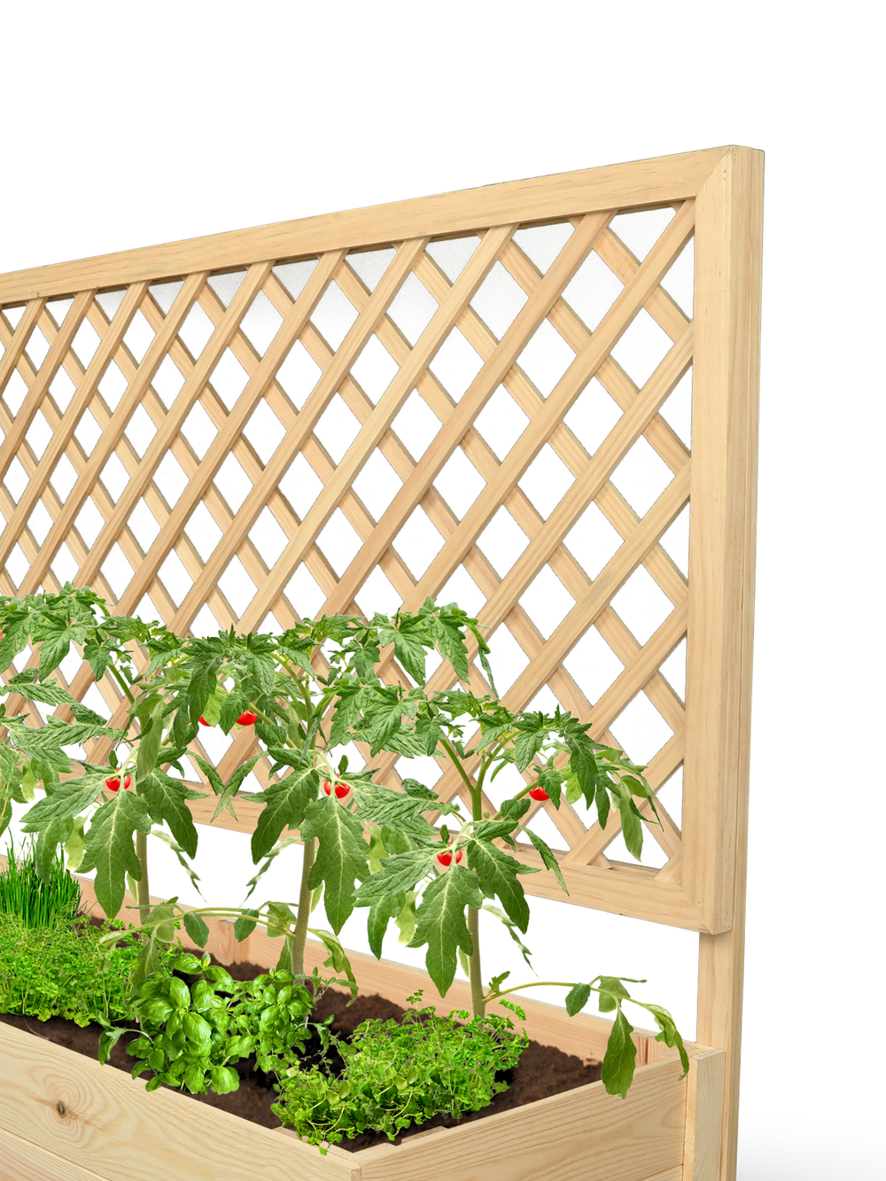 Close-up van het ruitvormige klimrek van grenen boven de beplante plantenbak XL