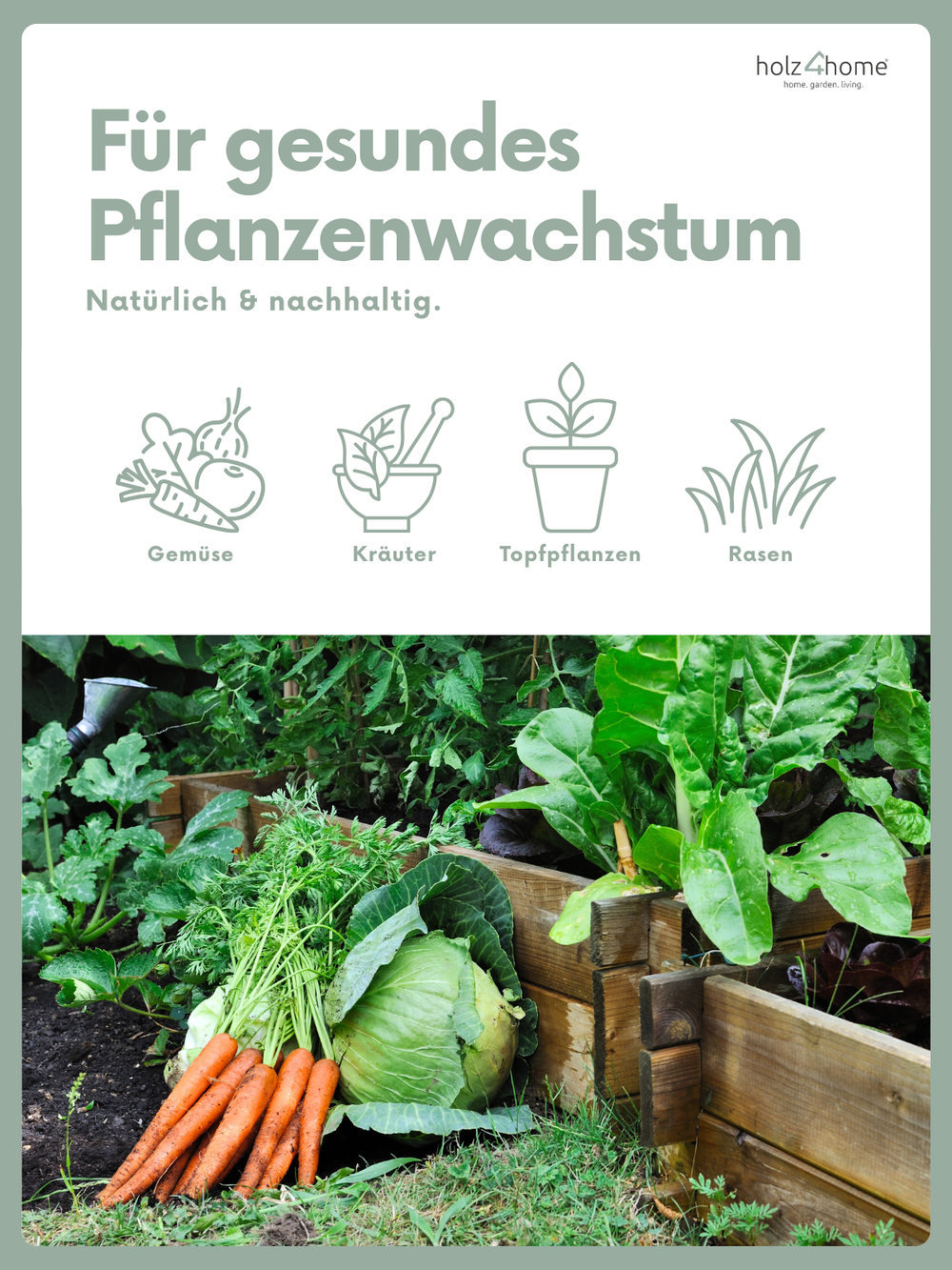 Vers geoogste groenten met kool en wortels bij een moestuinbak als resultaat van de natuurlijke mest